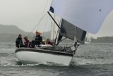 whw11 sun 2770